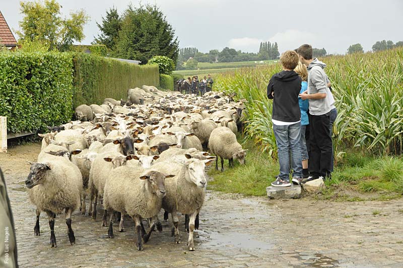 Herderstochtsept2010-002