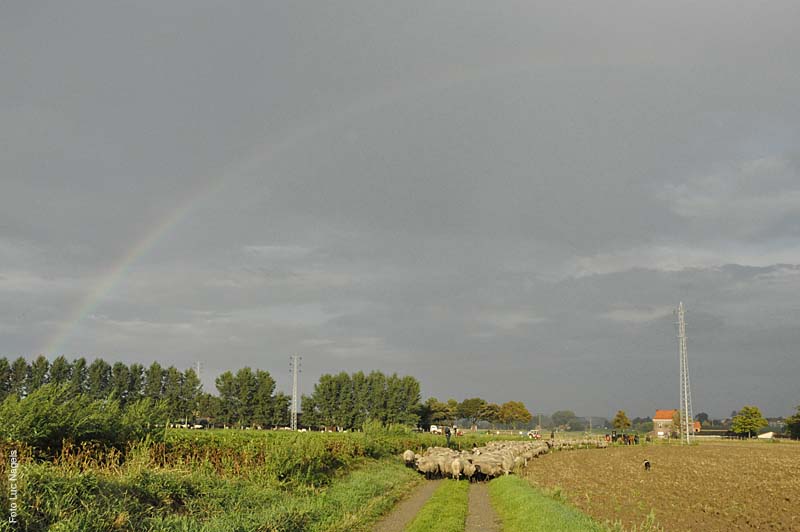 Herderstochtsept2010-059