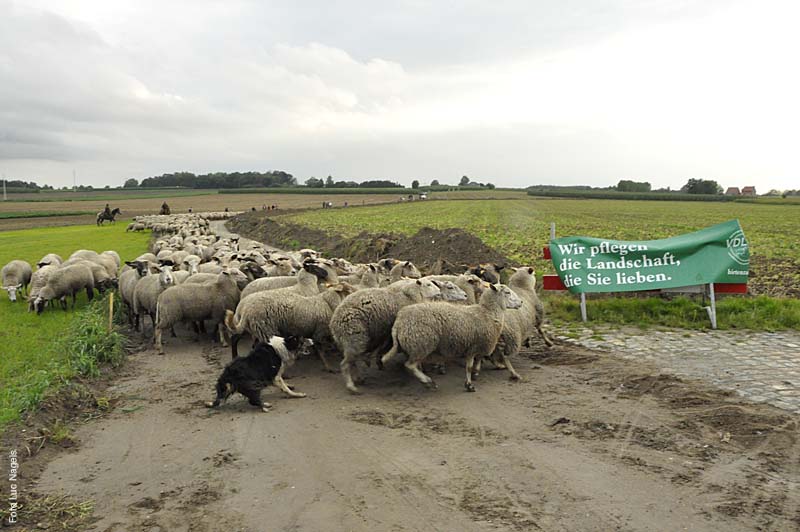 Herderstochtsept2010-096