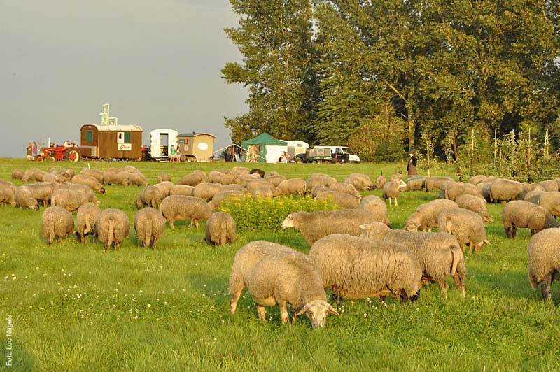 Herderstochtsept2010-191