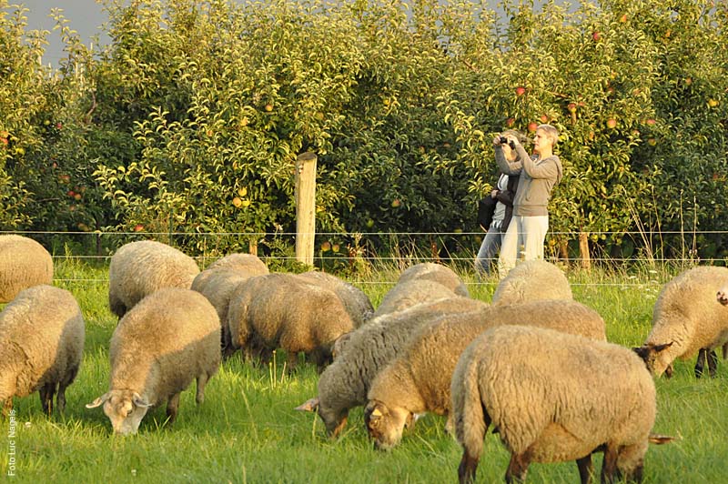 Herderstochtsept2010-201